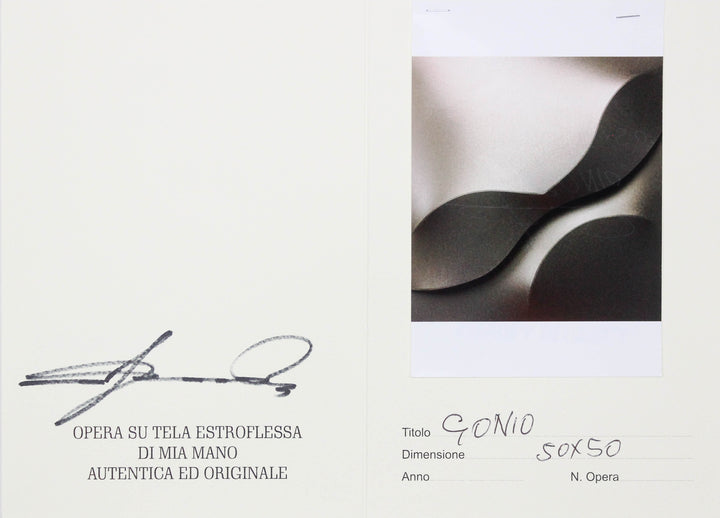 Giuseppe Amadio, Gonio, Acrilico su tela estroflessa originale firmata - EmporiumArt