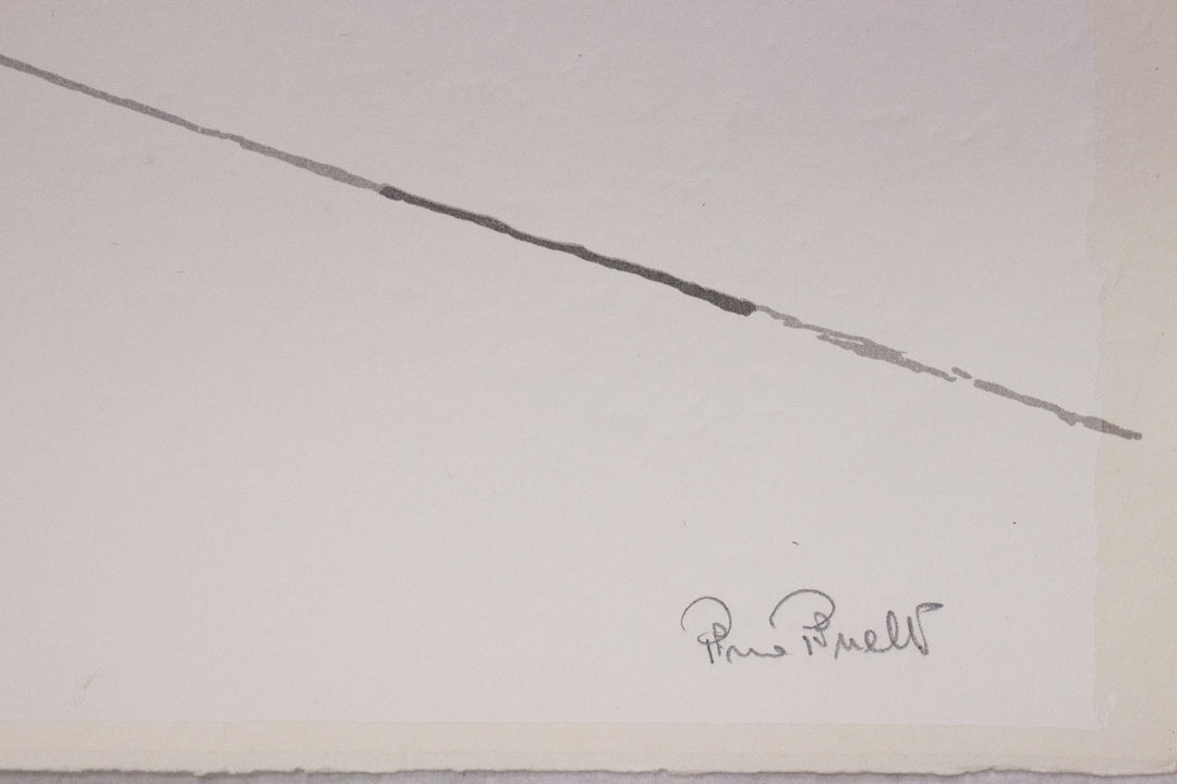 PINELLI Pino, Multiple flocking signed