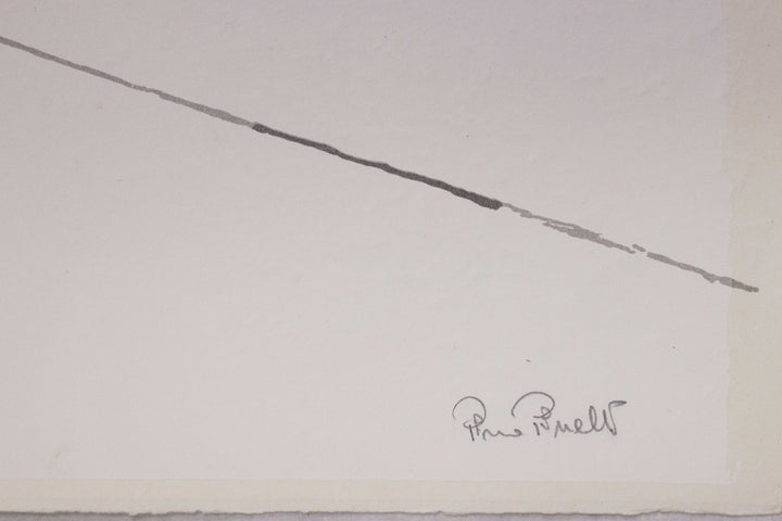 PINELLI Pino, Multiple flocking signed