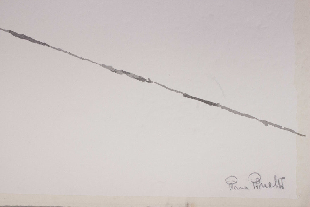 PINELLI Pino, Multiple flocking signed