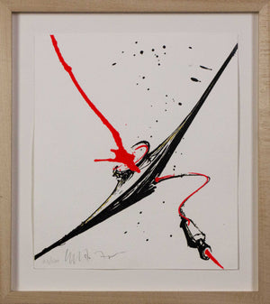 Descriptive image text