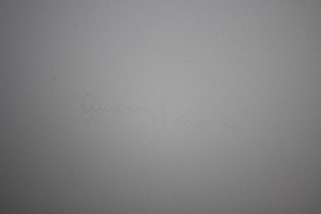 CALDERARA Antonio, Serigrafia originale firmata dalla cartella '105 serigrafie', 1975 - EmporiumArt