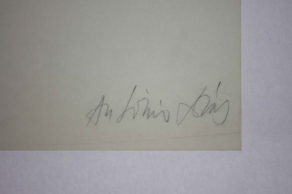 DIAS Antonio, A pencil is only a tool, 1971, Serigrafia originale firmata - EmporiumArt