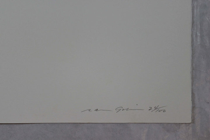 GIBSON Ralph, Acquaforte acquatinta originale firmata, 1981 - EmporiumArt